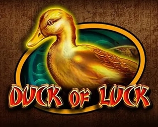 Duck Of Luck