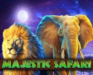 Majestic Safari
