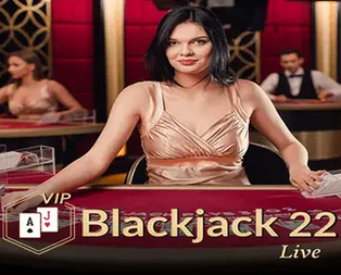 Blackjack VIP 22