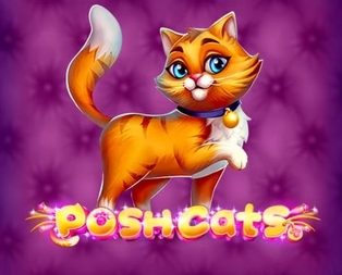 Posh Cats