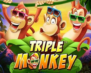 Triple Monkey