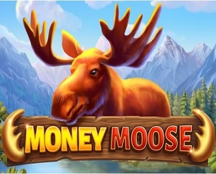 Money Moose