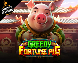 Greedy Fortune Pig
