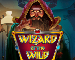 Wizard of the Wild