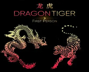 First Person Dragon Tiger