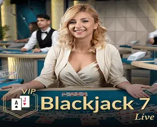 Blackjack VIP 7
