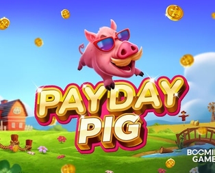 Payday Pig