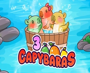 3 Capybaras