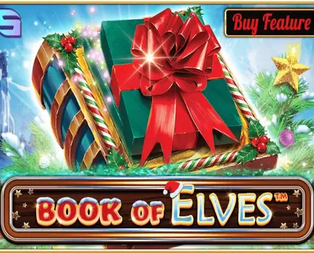 Book Of Elves