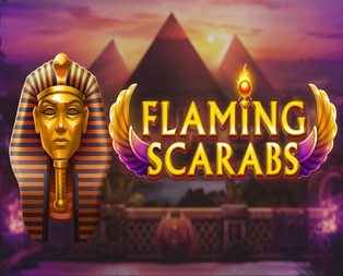 Flaming Scarabs