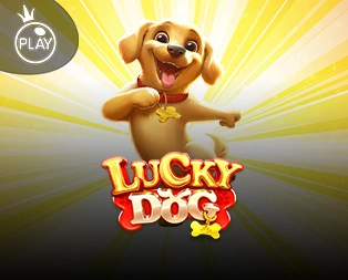 Lucky Dog