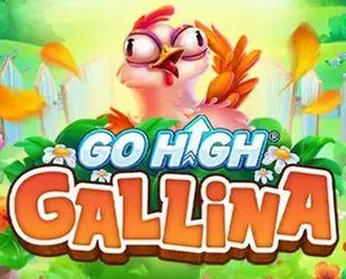 Go High Gallina