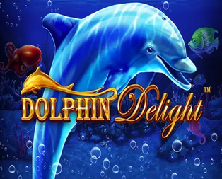 Dolphin Delight