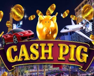 Cash Pig
