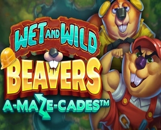Wet and Wild Beavers