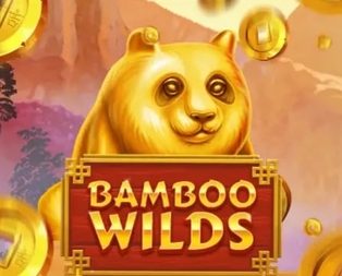 Bamboo Wilds