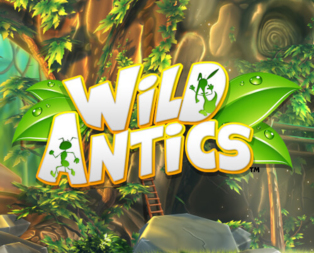 Wild Antics