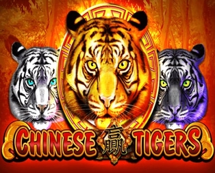 Chinese Tigers
