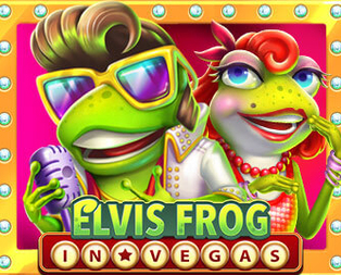 Elvis Frog in Vegas