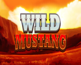 Wild Mustang
