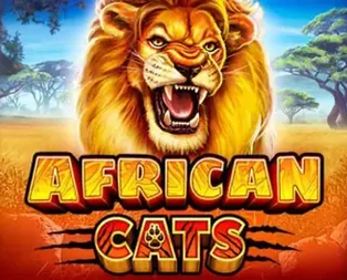 
                            African Cats