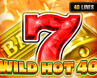 Wild Hot 40