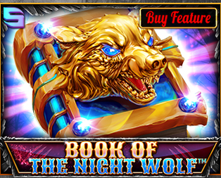 Book Of The Night Wolf