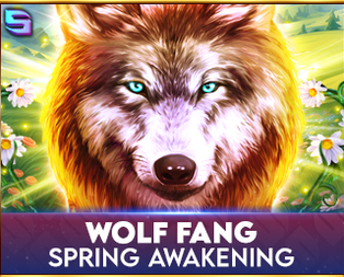 Wolf Fang - Spring Awakening
