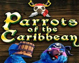 Parrots of Caribbean