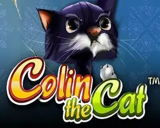 Colin The Cat