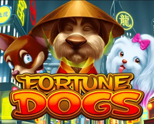 Fortune Dogs