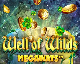 Well of Wilds Megaways