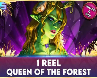 1 Reel - Queen Of The Forest