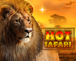 Hot Safari™