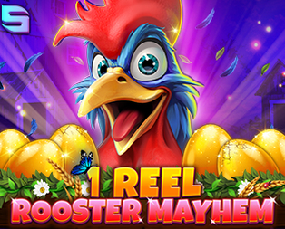 1 Reel - Rooster Mayhem