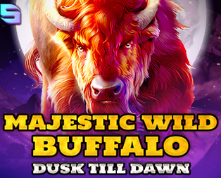 Majestic Wild Buffalo - Dusk Till Dawn