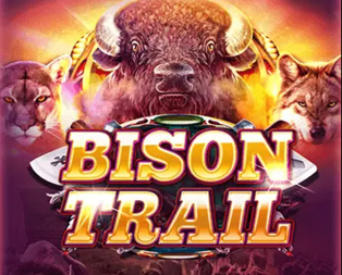 Bison Trail