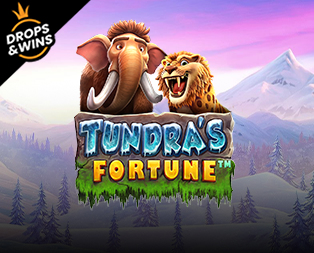 Tundra's Fortune
