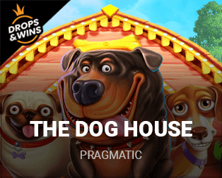 The Dog House™