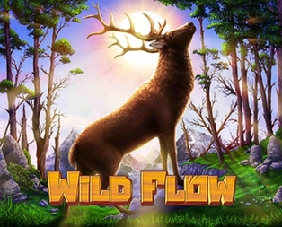 Wild Flow