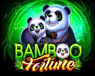 Bamboo Fortune