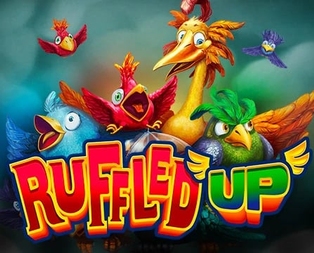 Ruffled Up
