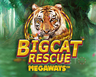 Big Cat Rescue Megaways