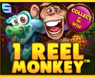 1 Reel Monkey