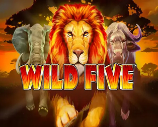 Wild Five