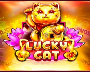 Lucky Cat