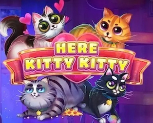 Here Kitty Kitty