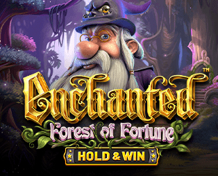 Enchanted: Forest of Fortune